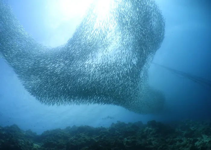 Blue Abyss
